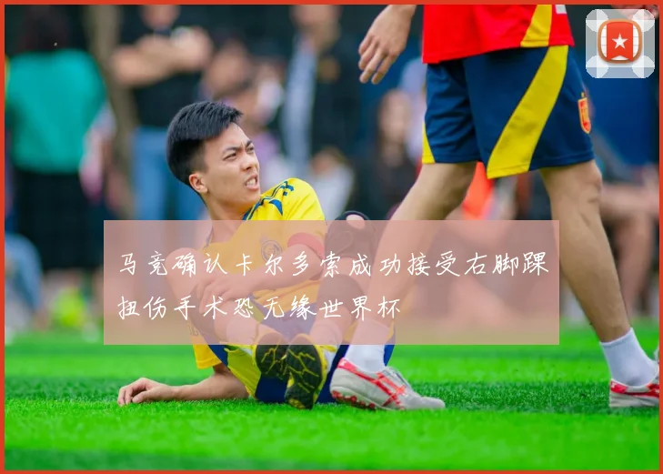 马竞确认卡尔多索成功接受右脚踝扭伤手术恐无缘世界杯