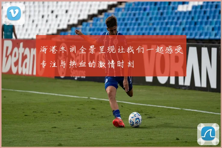 海港冬训全景呈现让我们一起感受专注与热血的激情时刻